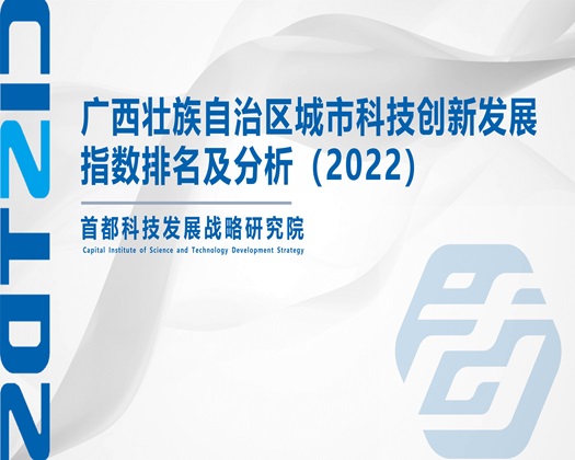 男女啊哈嗯视频在线免费【成果发布】广西壮族自治区城市科技创新发展指数排名及分析（2022）